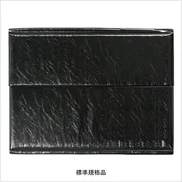 不動産ファイル／Fタイプ：シャイニングブラック - Master